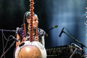 Sony Jobarteh by African Guild